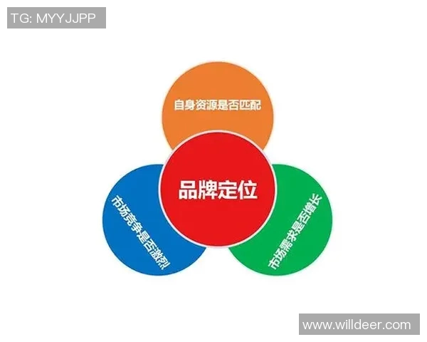 以赞助商需求为导向构建多元合作模式推动品牌价值最大化提升