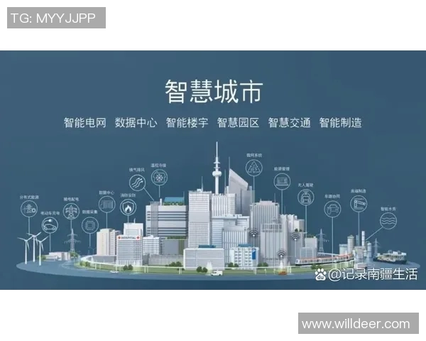 奇才领航，探索智慧的边界与未知领域的创新之路