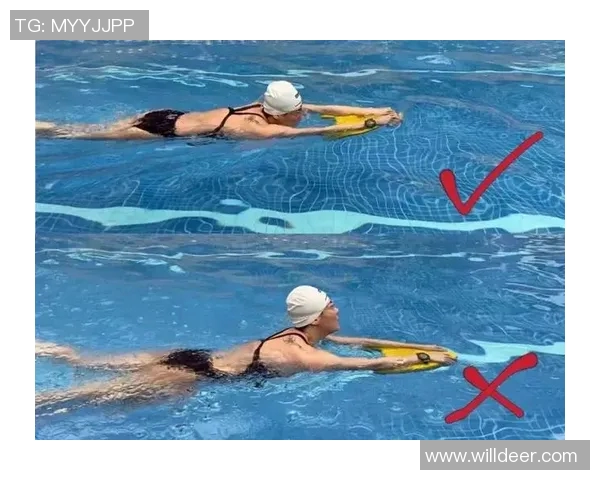 提升自由泳技巧从入门到精通的完整课程计划与训练方法 提升自由泳技巧从入门到精通的完整课程计划与训练方法