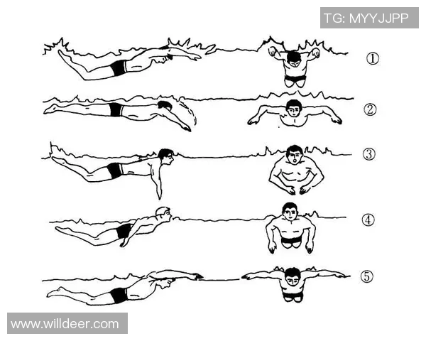 蛙泳基本动作详解与技巧提升：掌握正确姿势和高效训练方法