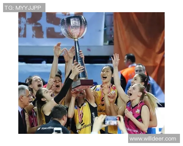 南京排球队心理素质分析与大满贯赛事表现评析 南京排球队心理素质分析与大满贯赛事表现评析