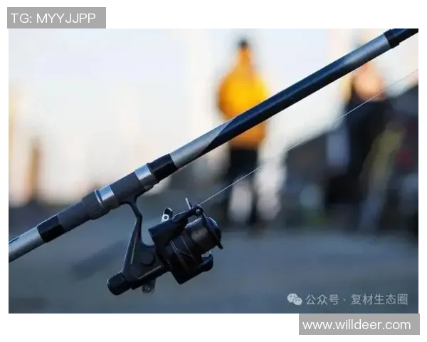 RNG战队崛起之路：从默默无闻到全球瞩目的传奇历程