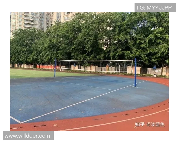 深圳排球队战术创新引发热议助力球队重返巅峰之路