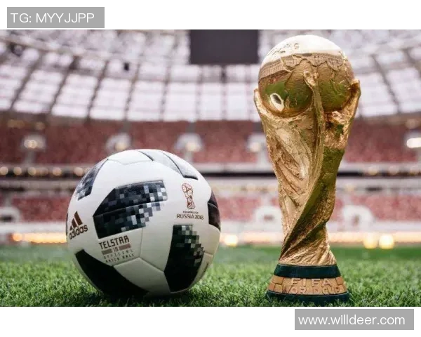 成都网球队在世界杯中的个人能力表现分析与点评