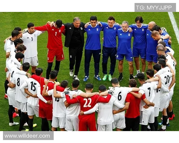 法国足球甲级联赛发展历程与未来趋势分析:从豪门球队到青年才俊的崛起