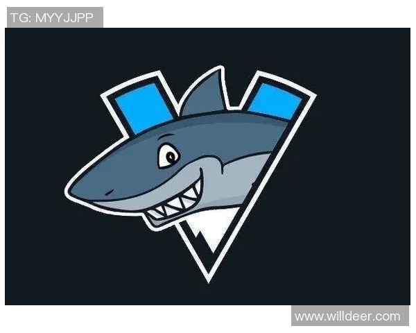 FPX战队在CSGO中的蜕变与成长历程全景回顾 FPX战队在CSGO中的蜕变与成长历程全景回顾
