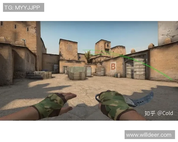 CSGO战术分析:深入探讨WE战队的控制策略与执行细节
