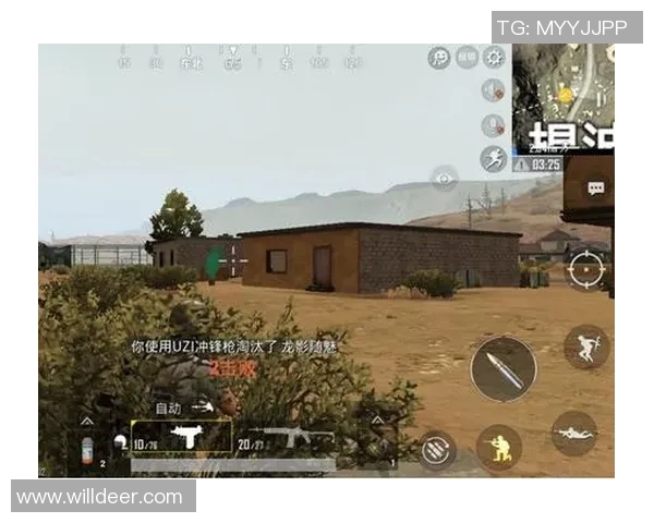 和平精英战术解析：BLG战队防守体系的构建与应用探讨